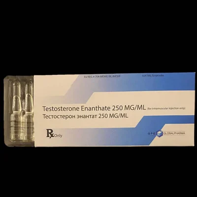 global pharma testosterone enanthate 250mg